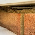 damp proof course services